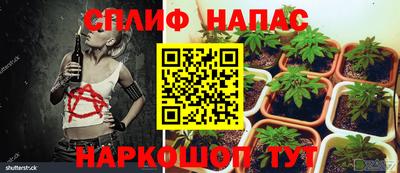 кокс Пушкино