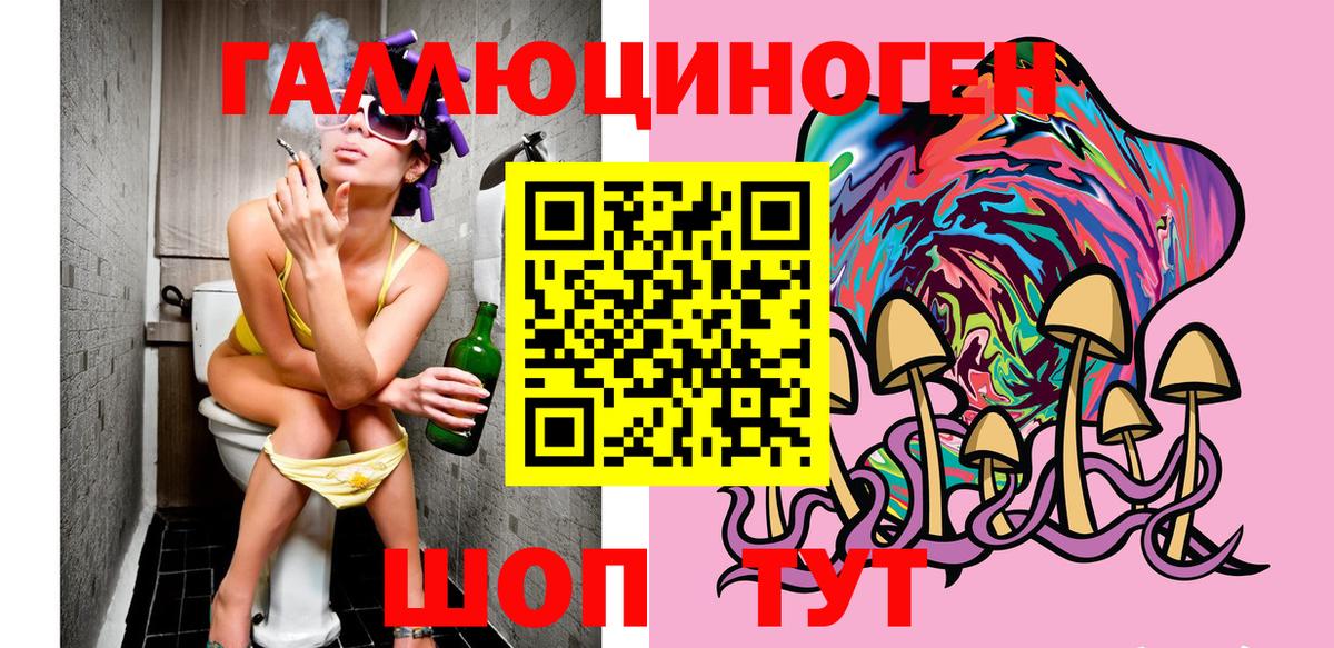 Прохладный  Галлюциногенные грибы MAGIC MUSHROOMS  где найти   Вход с VPN 